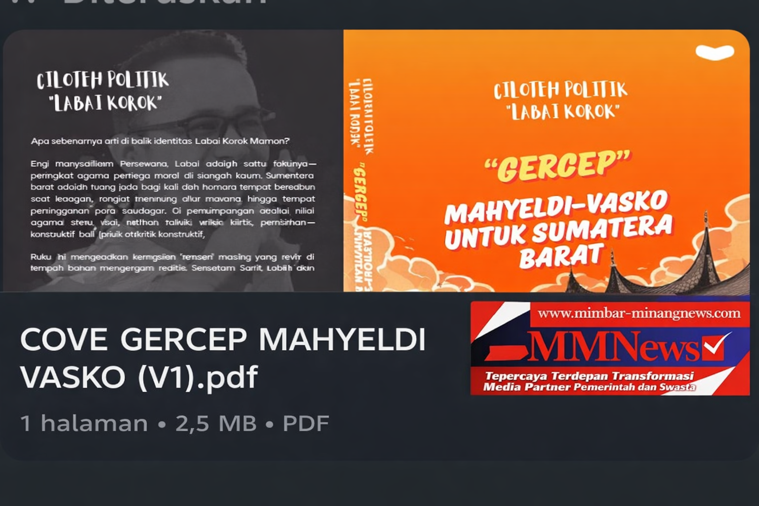 Resensi Buku: Cove Gercep Mahyeldi–Vasko