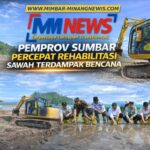 Pemprov Sumbar Percepat Rehabilitasi Sawah Terdampak Bencana, Siapkan Langkah Strategis Terintegrasi