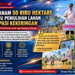 Gerakan Tanam 50 Ribu Hektare Digeber, Sumbar Pacu Pemulihan Lahan dan Antisipasi Kekeringan