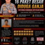 Polres Pasaman Ungkap 16 Paket Besar Diduga Ganja, Satu Remaja Diamankan, Satu Pelaku Diburu