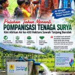 Puluhan Tahun Menanti, Pompanisasi Tenaga Surya Akhirnya Aliri 400 Hektare Sawah Tanjung Barulak
