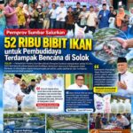 Pemprov Sumbar Salurkan 52 Ribu Bibit Ikan untuk Pembudidaya Terdampak Bencana di Solok
