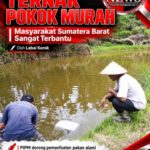 Pakan Mahal Menghimpit Peternak, PIPM Tawarkan Solusi Budidaya Ikan Pokok Murah