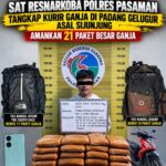 Tim Elang Timur Satresnarkoba Polres Pasaman Tangkap Terduga Kurir Ganja di Padang Gelugur, 21 Paket Besar Diamankan